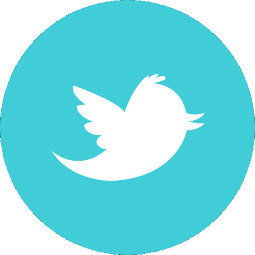 twitter social media icon